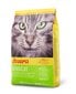 Josera jautrią virškinimo sistemą turinčioms katėms SensiCat, 10 kg kaina ir informacija | Sausas maistas katėms | pigu.lt