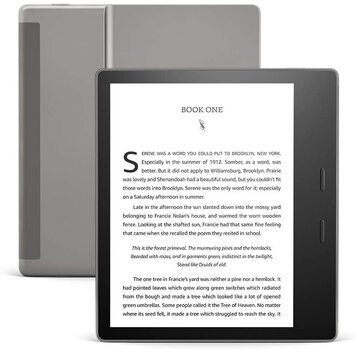 Amazon Kindle Oasis 2019 32GB WiFi, серый цена и информация | Электронные книги | pigu.lt