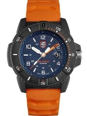 Laikrodis vyrams Luminox Navy SEAL XS.3603 kaina ir informacija | Vyriški laikrodžiai | pigu.lt