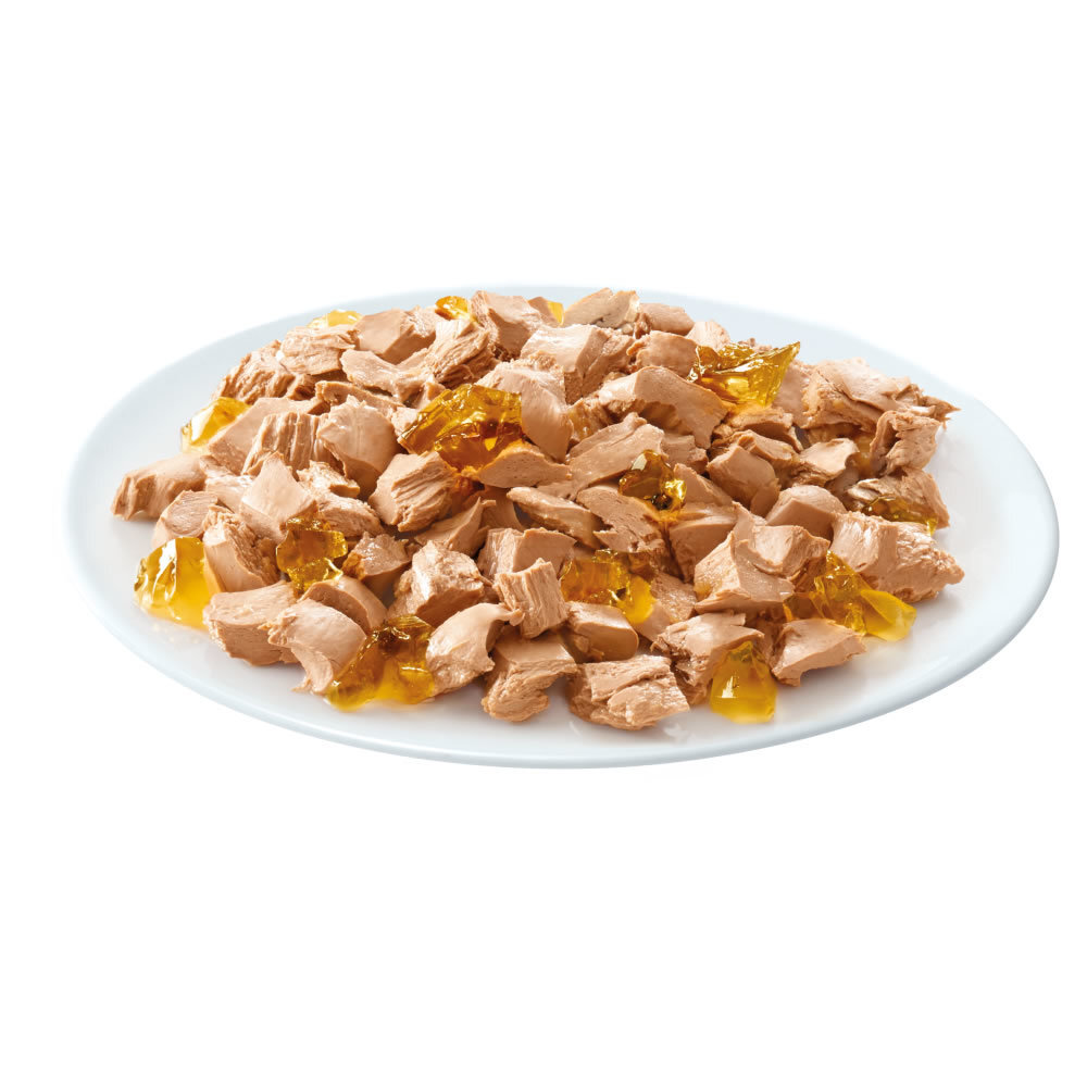 WHISKAS Casserole rinkinys su paukštiena, 12x85 g kaina ir informacija | Konservai katėms | pigu.lt