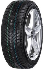 Neolin Neo Winter 225/55R16 99 H XL kaina ir informacija | Žieminės padangos | pigu.lt