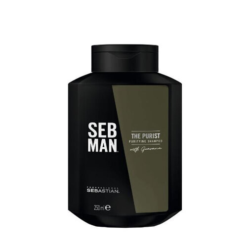 Šampūnas nuo pleiskanų vyrams Sebastian Professional SEB MAN The Purist 250 ml kaina ir informacija | Šampūnai | pigu.lt