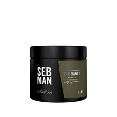 Помада для волос для мужчин Sebastian Professional SEB MAN The Dandy Shiny 75 ml цена и информация | Средства для укладки волос | pigu.lt