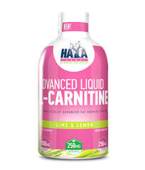 Haya Labs Advanced Liquid L-Carnitine 500 ml. kaina ir informacija | L-karnitinas | pigu.lt