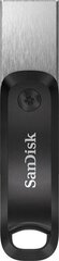 SanDisk SDIX60N-128G-GN6NE kaina ir informacija | USB laikmenos | pigu.lt