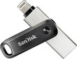 SanDisk iXpand 128GB kaina ir informacija | USB laikmenos | pigu.lt