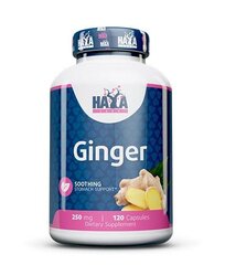 Пищевая добавка Haya Labs Ginger (Имбирь) 120 капс. цена и информация | Витамины | pigu.lt