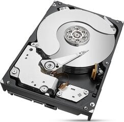 Seagate ST6000NM021A цена и информация | Внутренние жёсткие диски (HDD, SSD, Hybrid) | pigu.lt