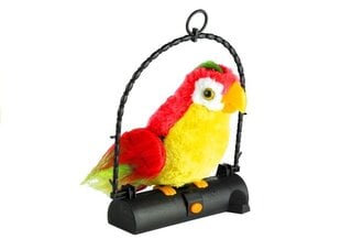 Интерактивный попугай, воспроизводящий звуки цена и информация | Игрушки для девочек | pigu.lt