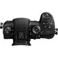 Panasonic Lumix DC-GH5 Body kaina ir informacija | Skaitmeniniai fotoaparatai | pigu.lt