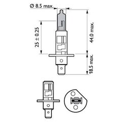 Philips White Vision Intense white xenon effect H1, 2vnt. + 2vnt. x W5W kaina ir informacija | Philips Autoprekės | pigu.lt