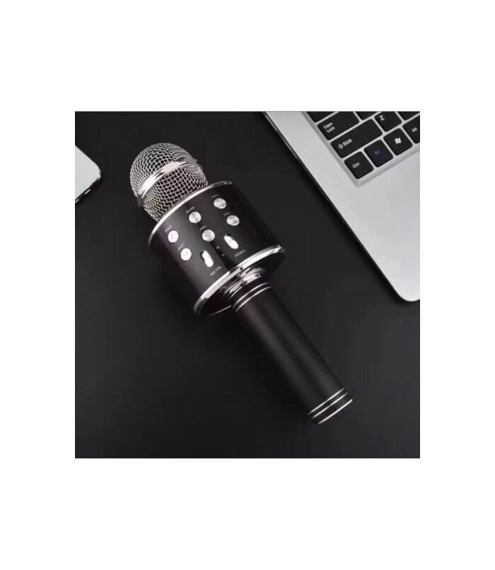 Karaokė mikrofonas, kolonėlė su balso keitimo efektais, WS-858 цена и информация | Lavinamieji žaislai | pigu.lt