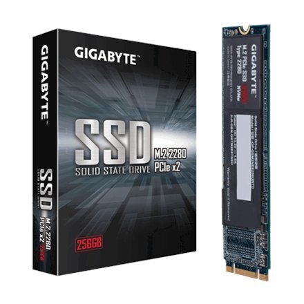 Gigabyte GP-GSM2NE3256GNTD kaina ir informacija | Vidiniai kietieji diskai (HDD, SSD, Hybrid) | pigu.lt