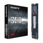 Gigabyte GP-GSM2NE3256GNTD kaina ir informacija | Vidiniai kietieji diskai (HDD, SSD, Hybrid) | pigu.lt