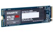 Gigabyte GP-GSM2NE3256GNTD цена и информация | Vidiniai kietieji diskai (HDD, SSD, Hybrid) | pigu.lt