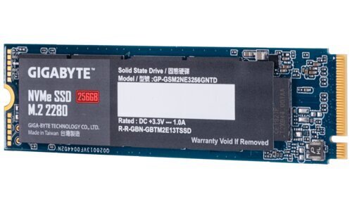 Gigabyte GP-GSM2NE3256GNTD kaina ir informacija | Vidiniai kietieji diskai (HDD, SSD, Hybrid) | pigu.lt