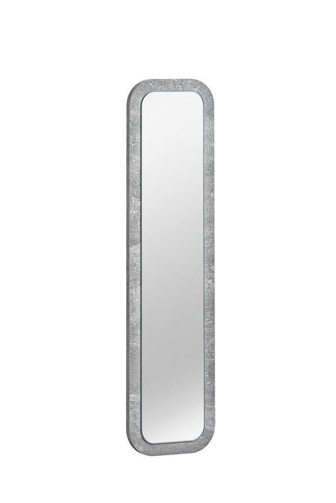 Veidrodis ASM Wally 09, pilkas цена и информация | Prieškambario veidrodžiai | pigu.lt