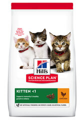 Hill's Science Plan Kitten ėdalas kačiukams su vištiena, 300 g kaina ir informacija | Sausas maistas katėms | pigu.lt