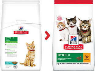 Hill's Science Plan Kitten ėdalas kačiukams su vištiena, 1.5kg kaina ir informacija | Sausas maistas katėms | pigu.lt