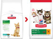 Hill's Science Plan Kitten ėdalas kačiukams su vištiena - 7kg kaina ir informacija | Sausas maistas katėms | pigu.lt