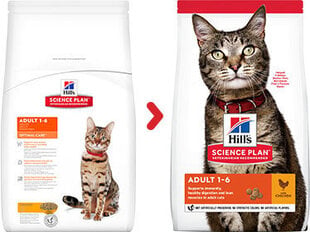 Hill's Science Plan Adult ėdalas katėms su vištiena, 300g kaina ir informacija | Sausas maistas katėms | pigu.lt