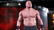 WWE 2K20 Xbox One цена и информация | Kompiuteriniai žaidimai | pigu.lt