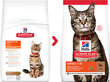 Hill's Science Plan Adult maistas katėms su ėriena ir ryžiais, 300g цена и информация | Sausas maistas katėms | pigu.lt