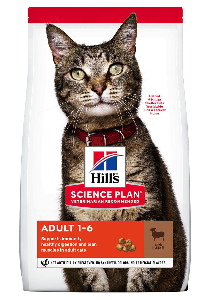 Hill's Science Plan Adult maistas katėms su ėriena ir ryžiais, 300g цена и информация | Sausas maistas katėms | pigu.lt