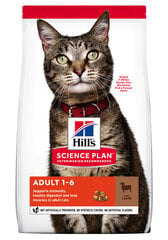 Hill's Science Plan Adult maistas katėms su ėriena ir ryžiais, 1.5kg цена и информация | Сухой корм для кошек | pigu.lt