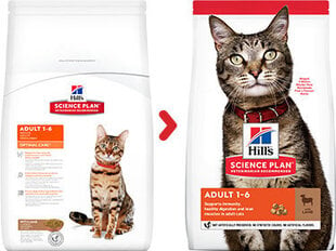 Hill's Science Plan Adult maistas katėms su ėriena ir ryžiais, 3kg kaina ir informacija | Sausas maistas katėms | pigu.lt