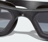 Plaukimo akiniai ADIDAS PERSISTAR 180 JR, jaunimui, juodi/pilki kaina ir informacija | Plaukimo akiniai | pigu.lt