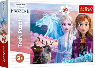 TREFL пазл Ледяная страна 2 ( Frozen 2 ) 30 ч. цена и информация | Пазлы | pigu.lt