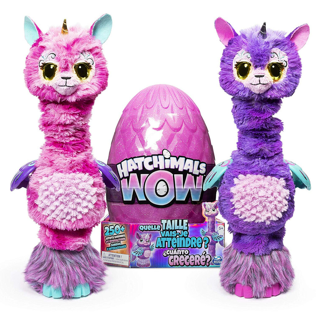 Interaktyvus kiaušinis su gyvūnėliu Hatchimals Hatchi WOW kaina | pigu.lt