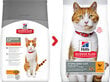 Hill's Science Plan Young Adult Sterilised Cat sausas ėdalas katėms su vištiena, 3 kg kaina ir informacija | Sausas maistas katėms | pigu.lt