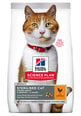 Hill's Science Plan Young Adult Sterilised Cat sausas ėdalas katėms su vištiena, 3 kg