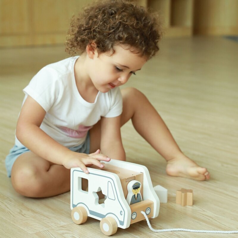 Traukiama medinė mašina - rūšiuoklis цена и информация | Žaislai kūdikiams | pigu.lt