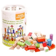 Деревянный сортировщик кубиков Ecotoys, 100 д. цена и информация | Игрушки для малышей | pigu.lt
