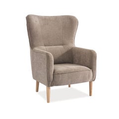 TMS Wood кресло, коричневое цена и информация | Кресла в гостиную | pigu.lt