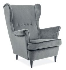 Fotelis TMS Royal, pilkas kaina ir informacija | Svetainės foteliai | pigu.lt