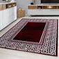 Ayyildiz kilimas Parma Red 9340, 80x150 cm kaina ir informacija | Kilimai | pigu.lt