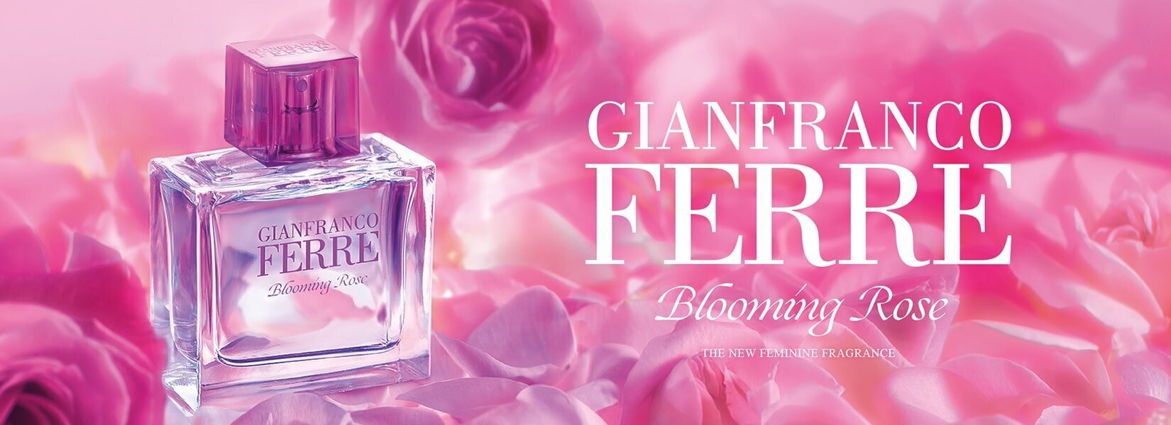 Tualetinis vanduo Gianfranco Ferre Blooming Rose EDT moterims 100 ml цена и информация | Kvepalai moterims | pigu.lt