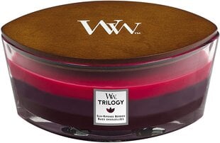 WoodWick ароматическая свеча Trilogy Sun Ripened Berries, 453.6 г цена и информация | Подсвечники, свечи | pigu.lt