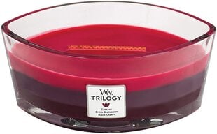 WoodWick ароматическая свеча Trilogy Sun Ripened Berries, 453.6 г цена и информация | Подсвечники, свечи | pigu.lt