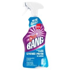 Cillit Bang Clean&Shiny Bathroom purškiamasis valiklis 750 ml kaina ir informacija | Valikliai | pigu.lt