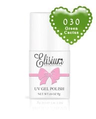 Гибридный лак для ногтей Elisium UV Gel Polish 030 Green Cactus, 8мл цена и информация | Лаки, укрепители для ногтей | pigu.lt