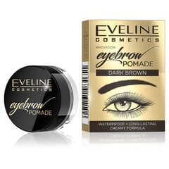 Antakių pomada Eveline Cosmetics Eyebrow Pomade, tamsiai ruda, 4 g kaina ir informacija | Antakių dažai, pieštukai | pigu.lt