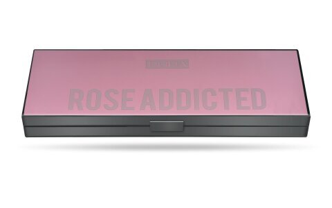 Akių šešėlių paletė Pupa Makeup Stories Compact, 004 Rose Addicted, 13,3 g цена и информация | Akių šešėliai, pieštukai, blakstienų tušai, serumai | pigu.lt