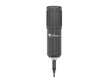 Mikrofonas Genesis Radium 400 kaina ir informacija | Mikrofonai | pigu.lt