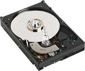 HDD внутренний жесткий диск Dell 400-AUPW цена и информация | Внутренние жёсткие диски (HDD, SSD, Hybrid) | pigu.lt