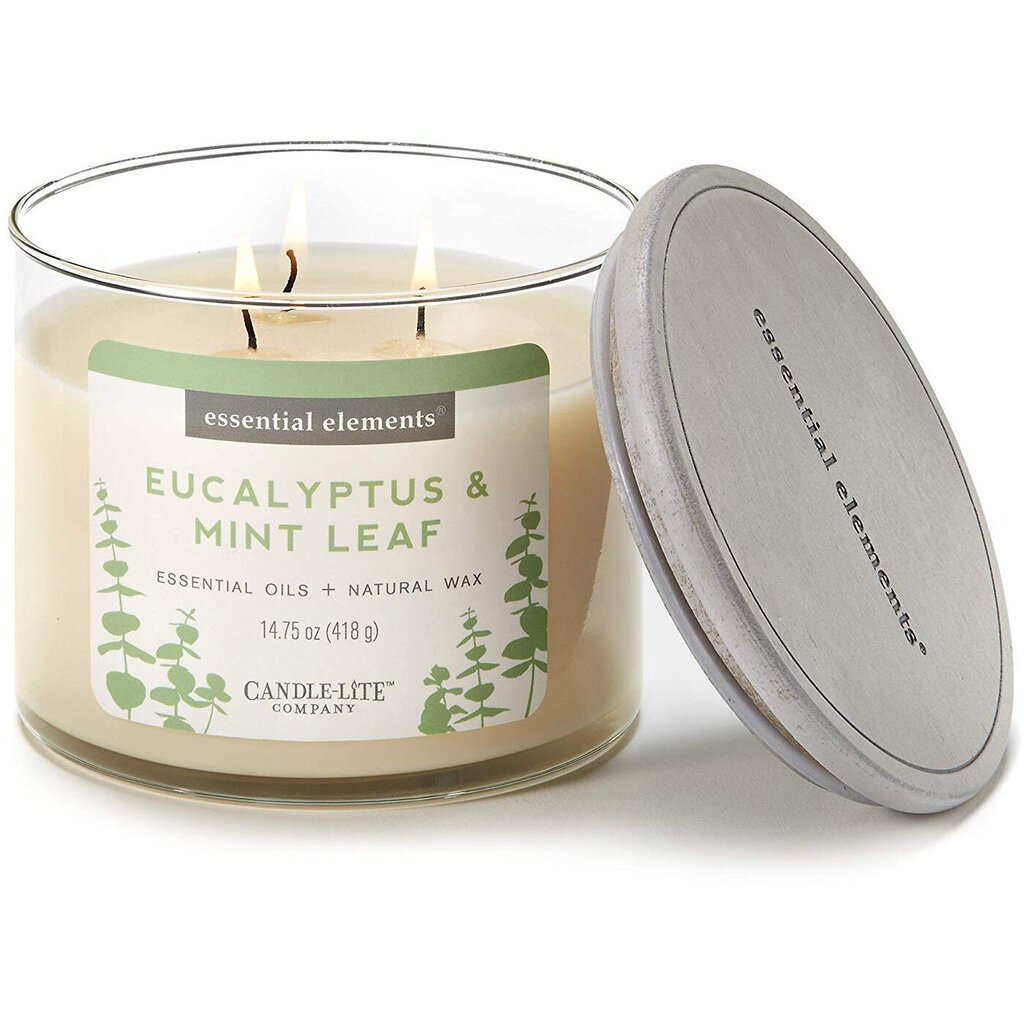 Candle-Lite kvapioji žvakė su dangteliu Eucalyptus & Mint Leaf, 418 g kaina ir informacija | Žvakės, Žvakidės | pigu.lt